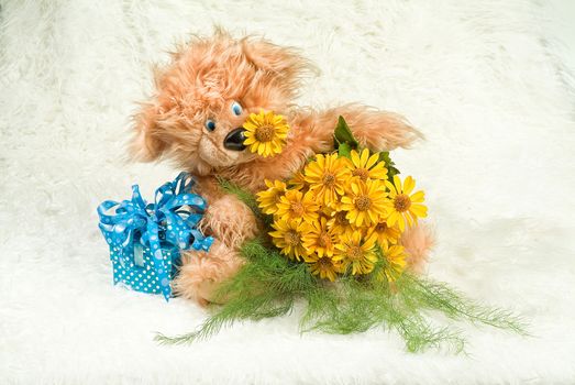 Still life with toy on a studio background