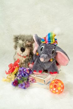 Still life with toy on a studio background