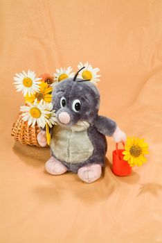 Still life with toy on a studio background