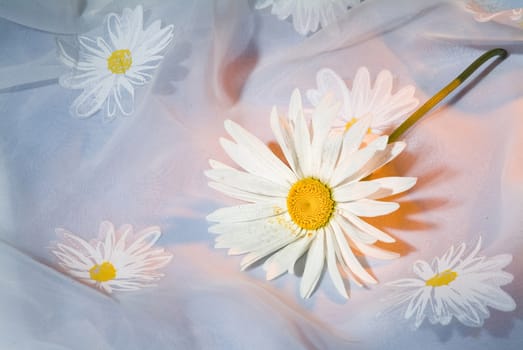 Still life with bouquet of flowers and accessories on a studio background