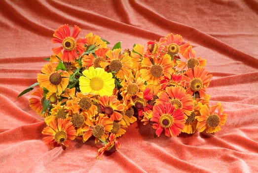 Still life with bouquet of flowers and accessories on a studio background