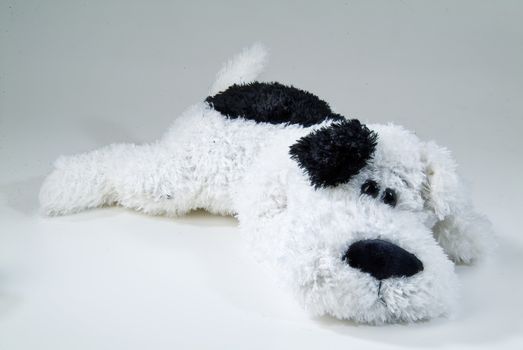 Still life with toy on a studio background