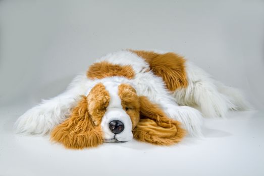 Still life with toy on a studio background