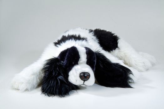 Still life with toy on a studio background