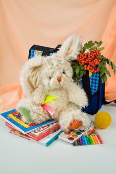 School books and accessories on a studio background