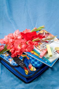 School books and accessories on a studio background