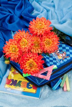 School books and accessories on a studio background