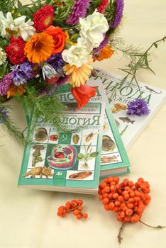 School books and accessories on a studio background