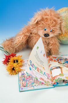 School books and accessories on a studio background