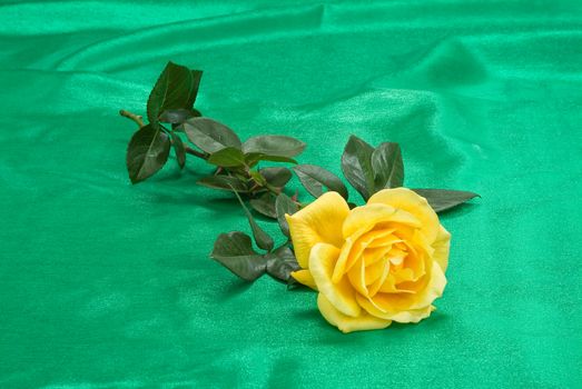 Still life with bouquet of flowers and accessories on a studio background