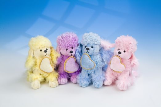 Toy dogs on a blue and white studio background