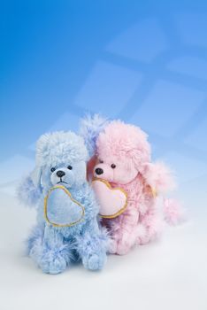 Toy dogs on a blue and white studio background