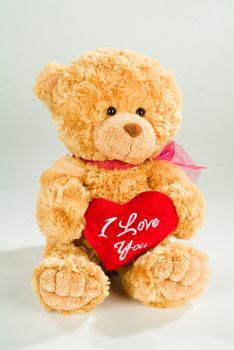 Toy dog on a fabricstudio background