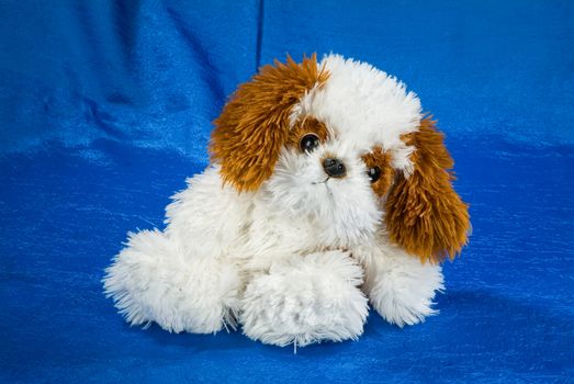 Toy dog on a fabricstudio background