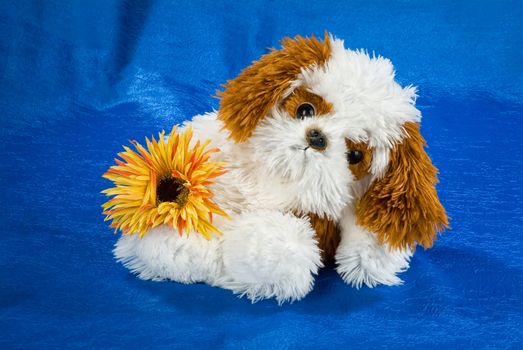 Toy dog on a fabricstudio background