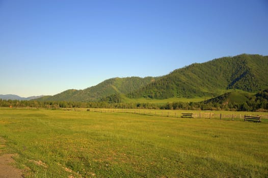 Pasture green valley at the foot of the mountain ranges. Altai, Siberia, Russia.