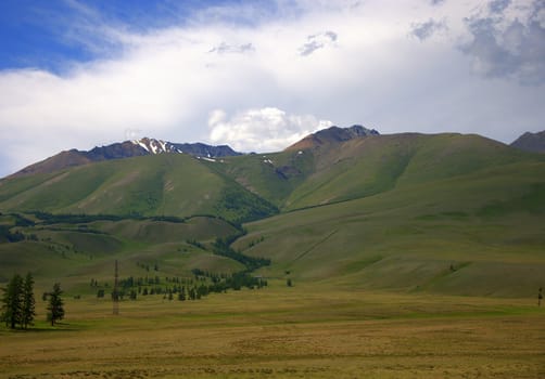 Fertile valley with lonely pines under a blue sky, on the background of the snowy peaks of the North-Chuisky ridge. Altai, Siberia, Russia.