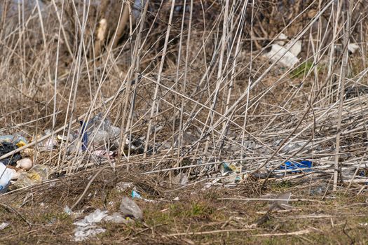 Trash on the agriculture field. Ecology problem and big harm to nature. 