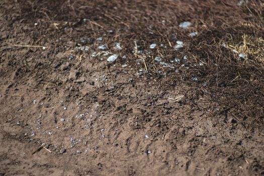 Trash on the agriculture field. Ecology problem and big harm to nature. 