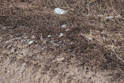 Trash on the agriculture field. Ecology problem and big harm to nature. 