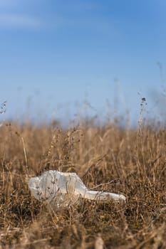 Closeup dry field grass with plastic trash on blurred background. Minimal depth of field. Early spring on photo.