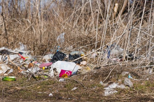 Trash on the agriculture field. Ecology problem and big harm to nature. 