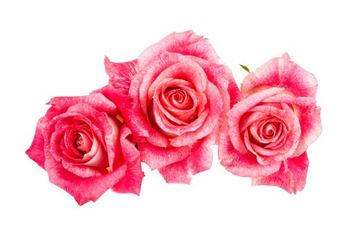 Still life with bouquet of flowers and accessories on a studio background