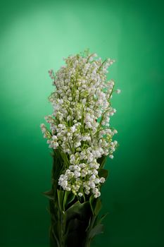 Still life with bouquet of flowers and accessories on a studio background