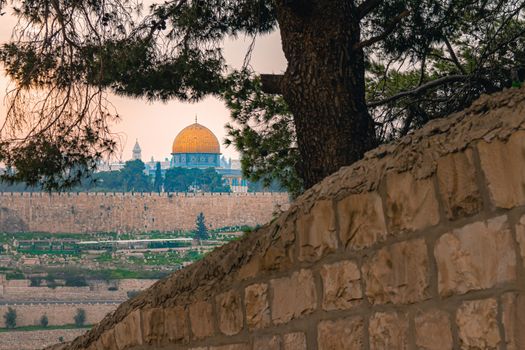 Panoramic view of Jerusalem old city and the Temple Mount through a tree during a dramatic colorful sunset. A view of the Dome of the Rock and Al Aqsa Mosque from the Mount of Olives in Jerusalem, Israel.