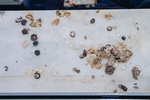 Pigeon droppings on the windowsill. Top view flat lay.