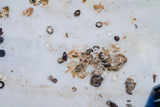 Pigeon droppings on the windowsill. Top view flat lay.