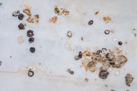 Pigeon droppings on the windowsill. Top view flat lay.