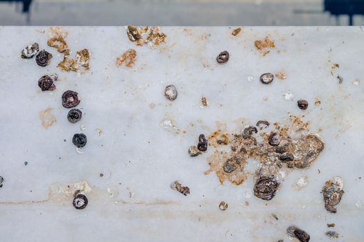 Pigeon droppings on the windowsill. Top view flat lay.