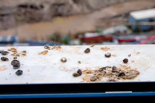 Pigeon droppings on the windowsill. A building under construction in the background.