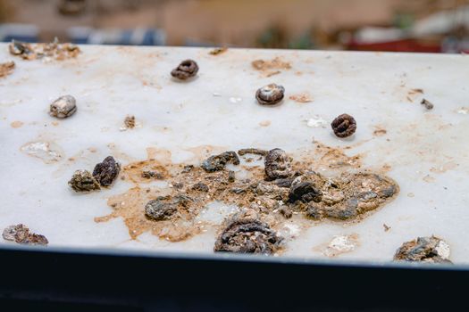 Pigeon droppings on the windowsill. A building under construction in the background. Close up.