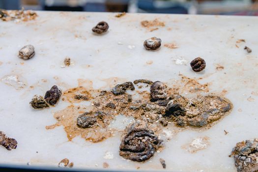 Pigeon droppings on the windowsill. A building under construction in the background. Close up.