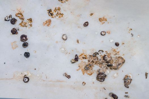 Pigeon droppings on the windowsill. Top view flat lay.