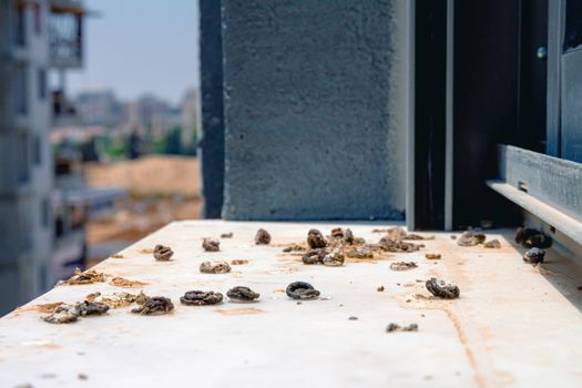 Pigeon droppings on the windowsill. A building under construction in the background. Side view.