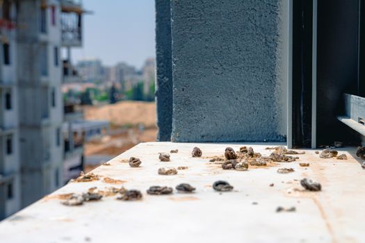 Pigeon droppings on the windowsill. A building under construction in the background. Side view.