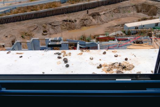 Pigeon droppings on the windowsill. A building under construction in the background.