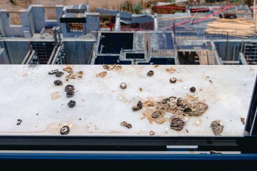 Pigeon droppings on the windowsill. A building under construction in the background.