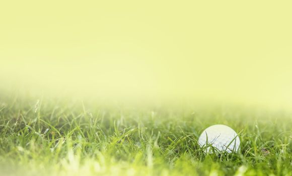 Golf ball on green grass macro close-up