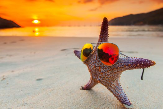 Starfish in sunglasses on sea beach at sunset
