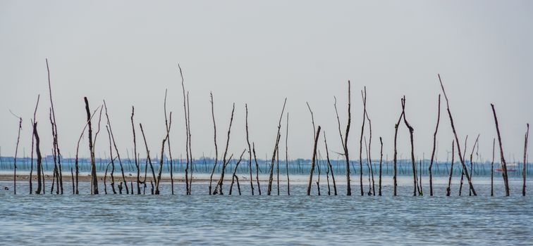 Historical construction out of branches in the sea, Weather fishery, old historical fishing technique, Bergse diepsluis, Oosterschelde, Oesterdam, Tholen, The netherlands