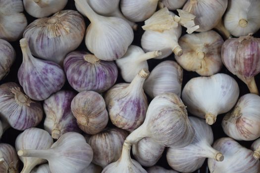 Organic Garlic In The Background Drawer For Your Needs