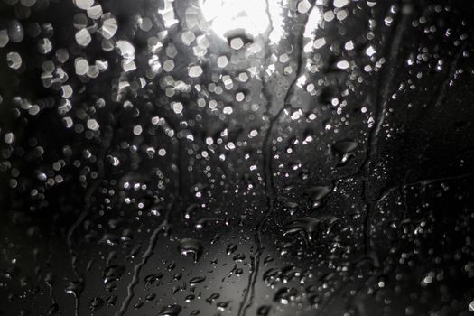 Night blurred rain drops bokeh backdrop. Rain water on glass and lamp in the dark