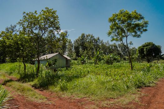 House in rural Kenya, Africa. A house in rural Kenya, Africa. A very basic construction made out of clay and wood, but it is efficient