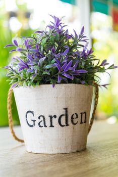 Purple flower pots placed on a wooden table.