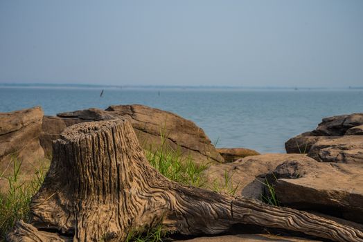 Rocks and stumps on the banks of the reservoir.