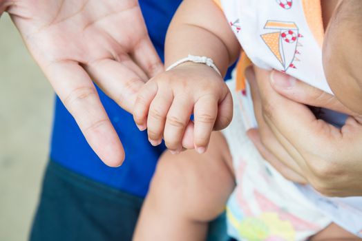 A handful of baby's fingers, concept of love and family,sensitive focus